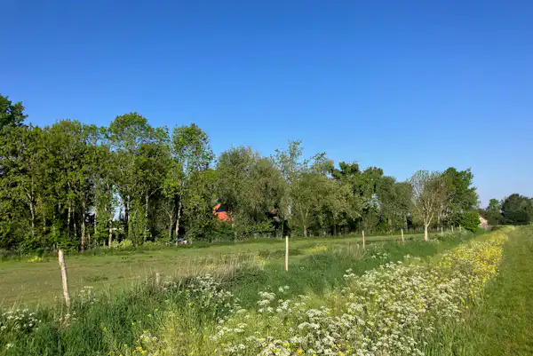 Camping Ruigenhil