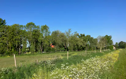 Camping Ruigenhil