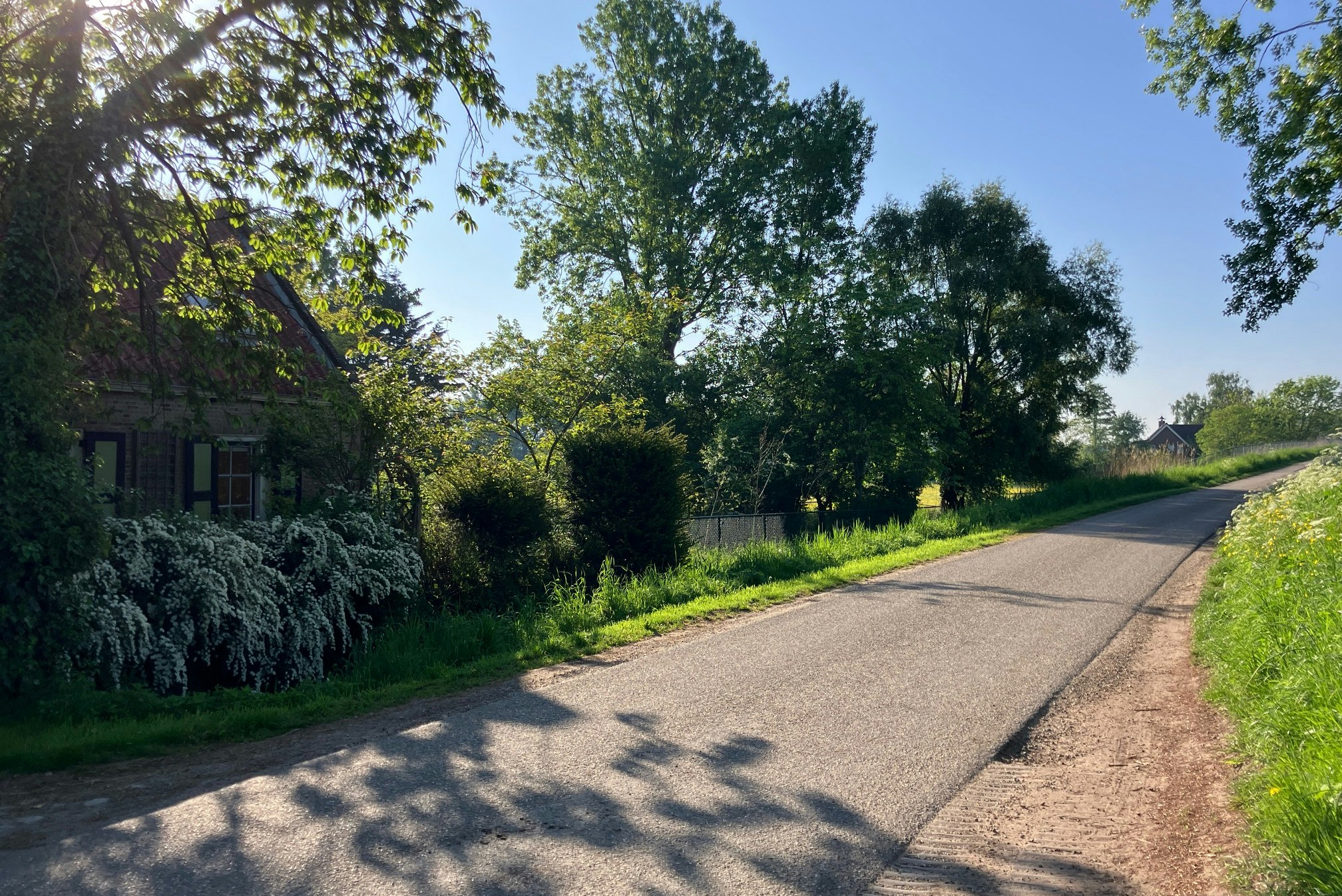 Camping Ruigenhil - Umgebung des Campingplatzes