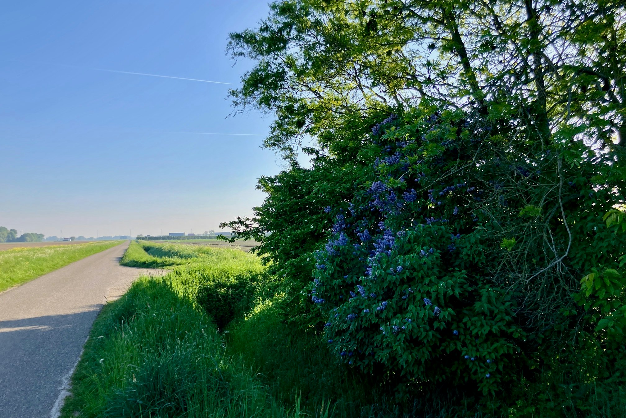 Camping Ruigenhil - Wander- und Radwege in der Umgebung des Campingplatzes