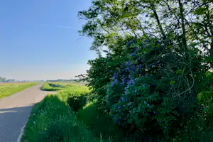 Camping Ruigenhil - Wander- und Radwege in der Umgebung des Campingplatzes