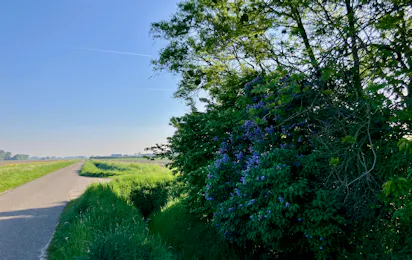 Camping Ruigenhil