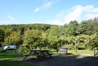 Camping Rursee