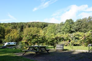 Camping Rursee - Sitzbank.jpg