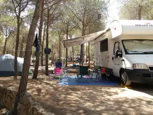 Wohnmobil mit Markise und Campingstühlen auf dem Stellplatz im Wald, daneben Zelt und Wäscheleine zwischen Bäumen.