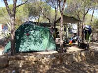Camping Sa Prama - Zeltplatz im Schatten der Bäume auf dem Campingplatz