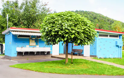 Camping Saaleinsel