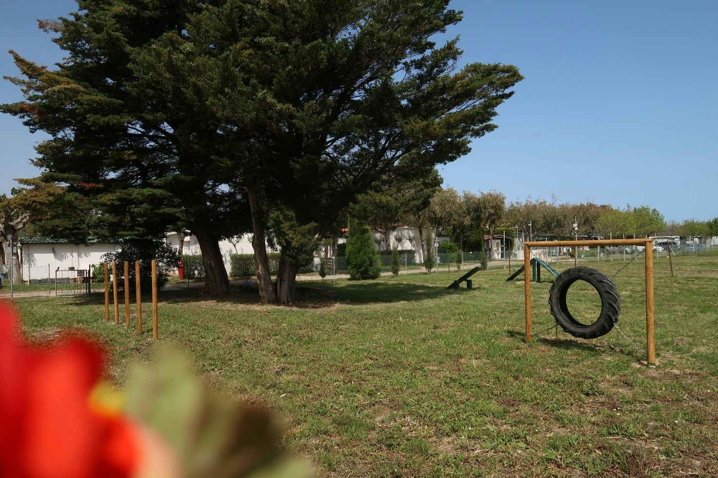 Spielplatz auf dem Campingplatz mit großem Baum, Rasenfläche und einem Reifen-Spielgerät im Vordergrund.