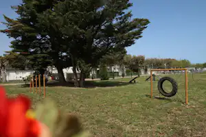 Spielplatz auf dem Campingplatz mit großem Baum, Rasenfläche und einem Reifen-Spielgerät im Vordergrund.