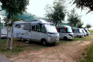 Wohnmobile auf einem Campingplatz, Reihe geparkter Camper neben Bäumen und einem Kiesweg.