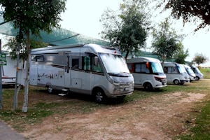 Camping Sabbia D'oro - Stellplätze auf dem Campingplatz