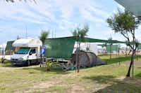 Camping Sabbia D'oro - Zelt- und Stellplätze auf der Wiese