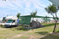 Camping Sabbia D'oro - Zelt- und Stellplätze auf der Wiese