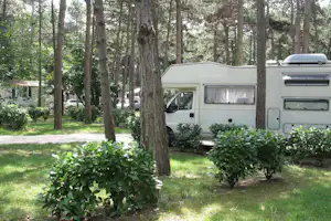 Camping Sabbiadoro - Standplätze und Mobilheime auf dem Campingplatz