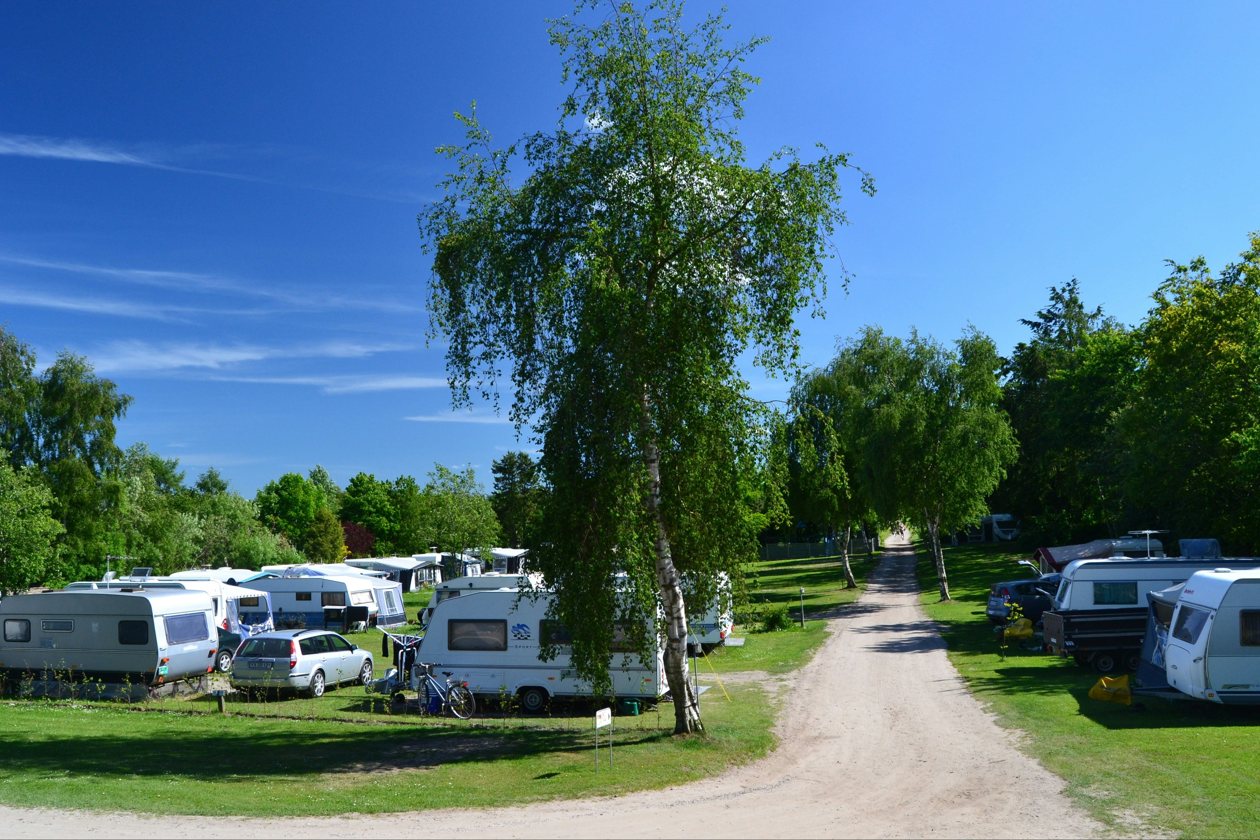 Campingplatz mit Wohnwagen und Wohnmobilen entlang eines Kieswegs, im Vordergrund ein Baum und Rasenflächen.