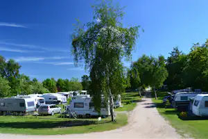 Campingplatz mit Wohnwagen und Wohnmobilen entlang eines Kieswegs, im Vordergrund ein Baum und Rasenflächen.