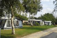 Camping Safari -  Wohnwagen- und Zeltstellplatz zwischen Bäumen auf dem Campingplatz