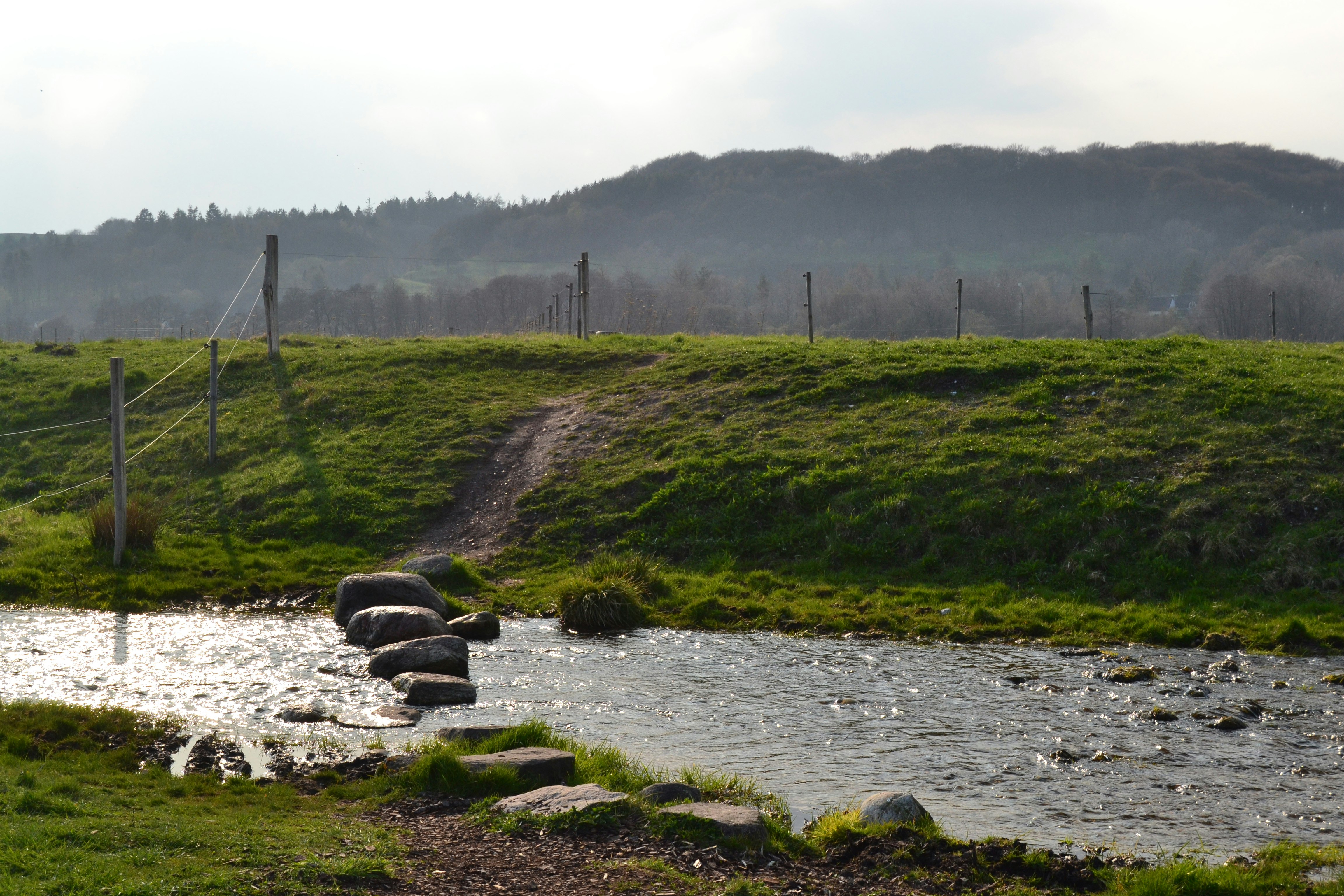 Grüne Wiese mit schmalem Bach, Steinen am Ufer und Zaunpfosten; dahinter Hügel mit Bäumen im Hintergrund.