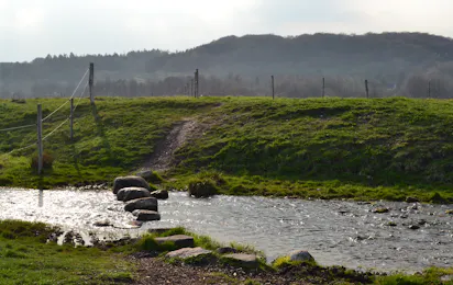 Camping Safari (Rebild)
