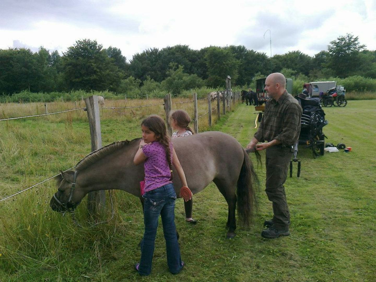 Camping Safari (Rebild)