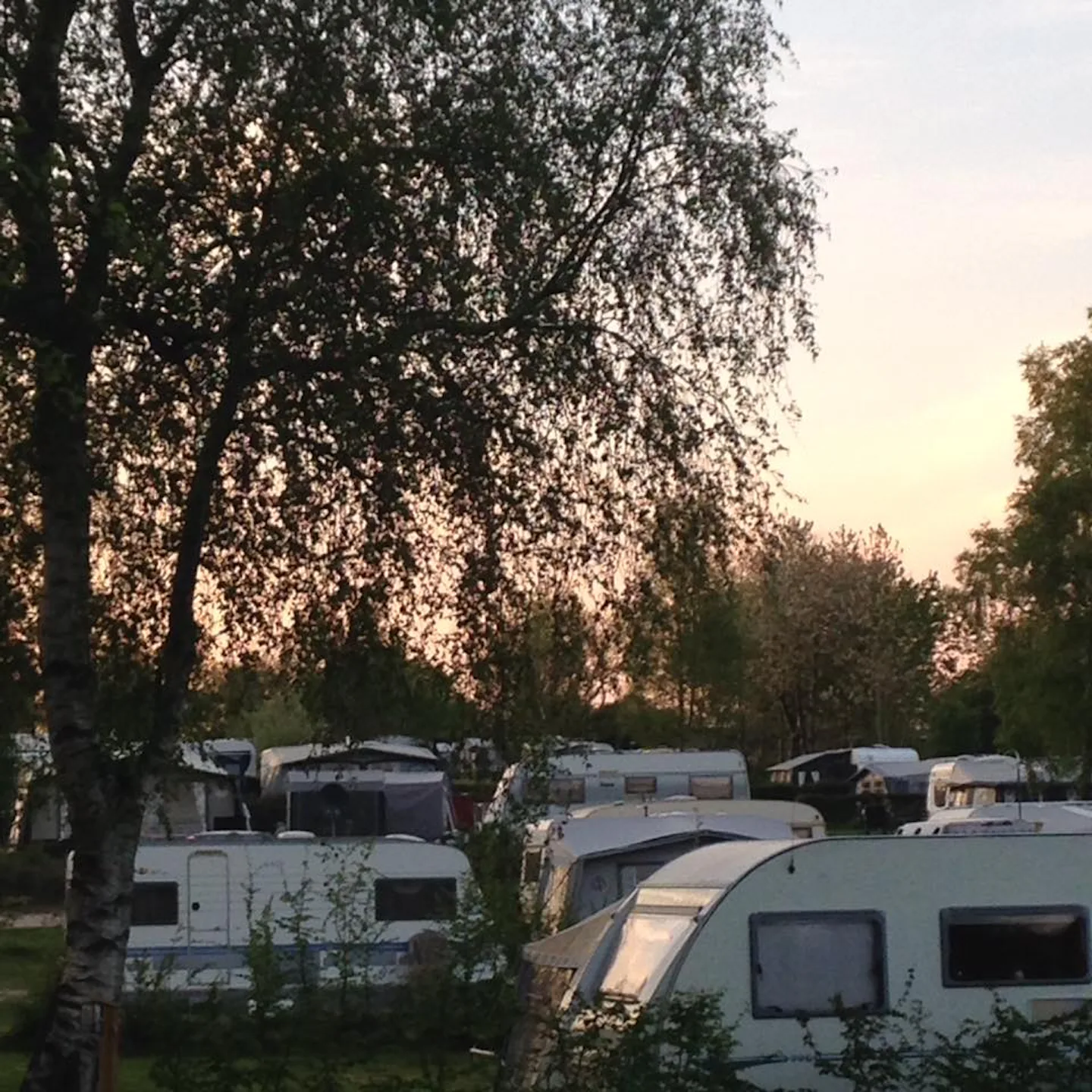 Camping Safari (Rebild)