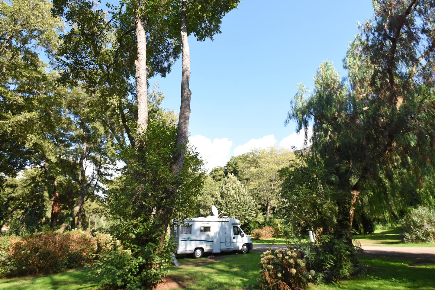 Camping Sagone  -  Stellplatz vom Campingplatz im Grünen auf Korsika