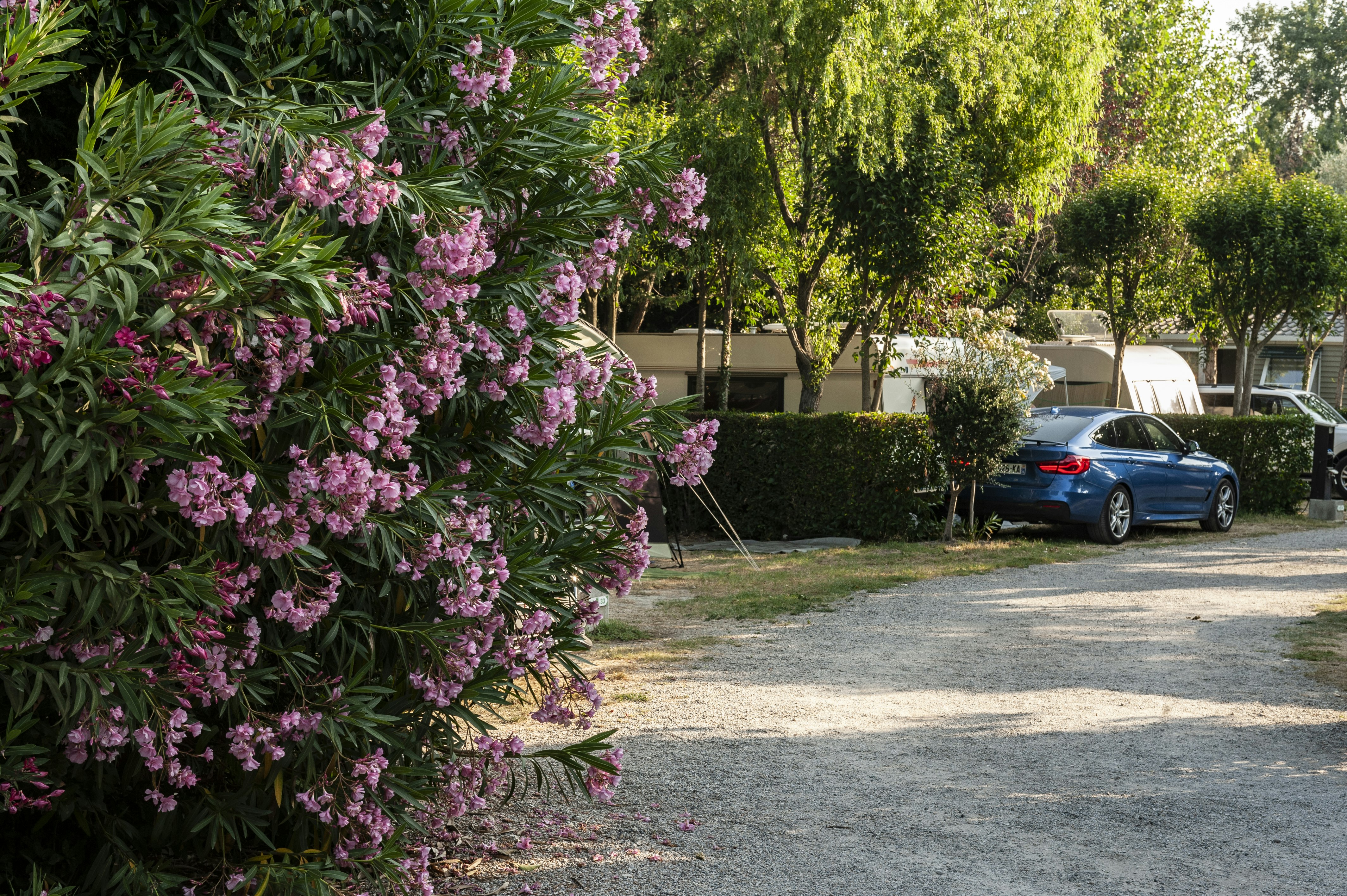 Camping Saint Gabriel - Wohnmobil- und  Wohnwagenstellplätze im Grünen auf dem Campingplatz