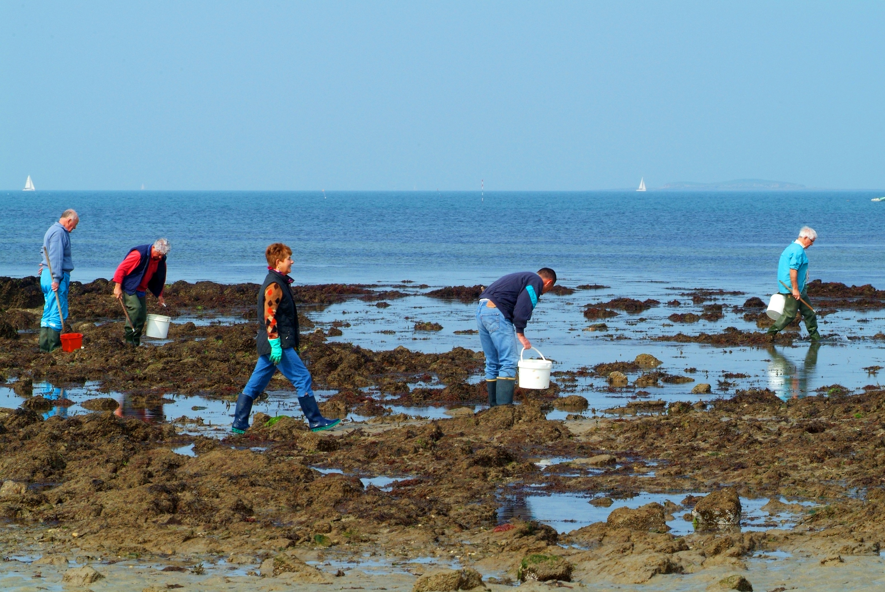 Camping Saint-Jacques