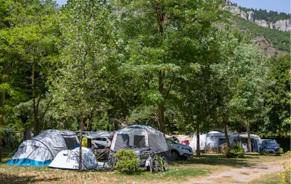 Flower Camping Saint Lambert