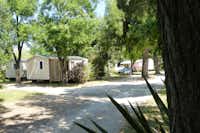 Camping Saint Pons - Mobilheime unter Bäumen