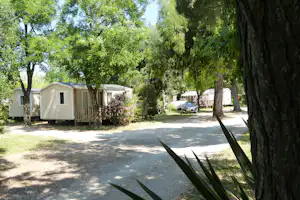 Mobilheime auf dem Campingplatz im Grünen, mit Holzterrasse, Bäumen und einem Auto am Stellplatz.