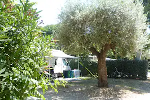 Wohnmobil auf dem Stellplatz unter einem großen Baum, mit Tisch und Stühlen sowie Fahrrädern am Rand.
