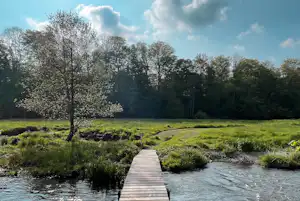 Camping Saint Remacle - Kleine Brücke über den Fluss