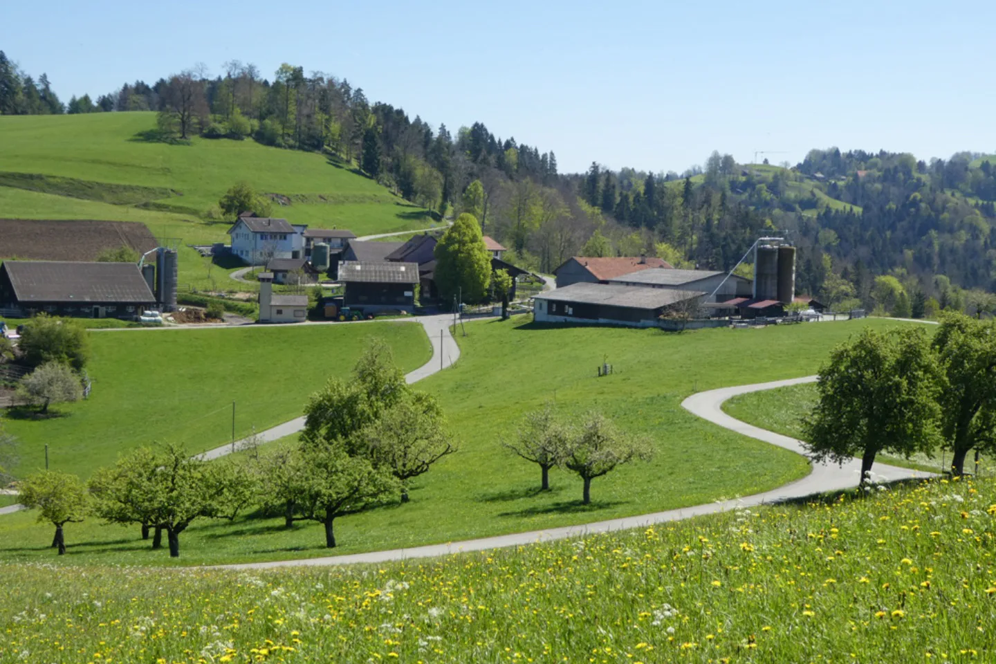 Camping Saland
