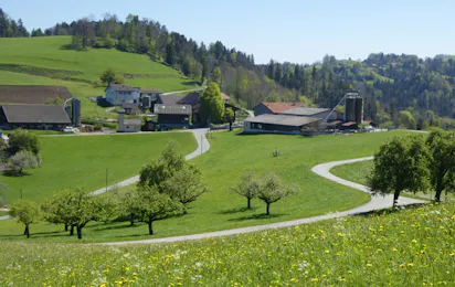 Camping Saland