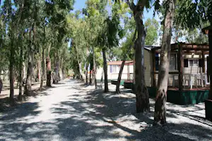 Schattige Allee mit Bäumen auf einem Campingplatzweg, rechts eine Terrasse mit Holzgeländer und Sitzgelegenheiten.