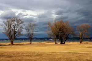 Camping Salzmann Rohrspitz - Campingplatz mit Stellplätzen am Bodensee im Herbst