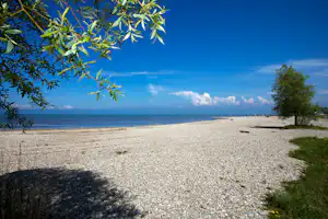 Camping Salzmann Rohrspitz - Strand vom Campingplatz am Bodensee