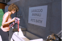 Camping San Benedetto  - Badestelle für Hunde auf dem Campingplatz