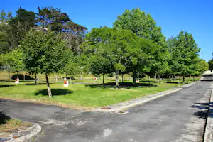 Campingplatz mit Baumallee, Rasenflächen und gepflastertem Weg, im Hintergrund Hügel und dichter Wald.
