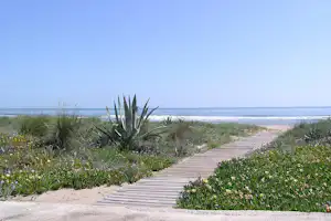 Camping San Vicente - Campingplatz mit direktem Zugang zum Strand am Mittelmeer