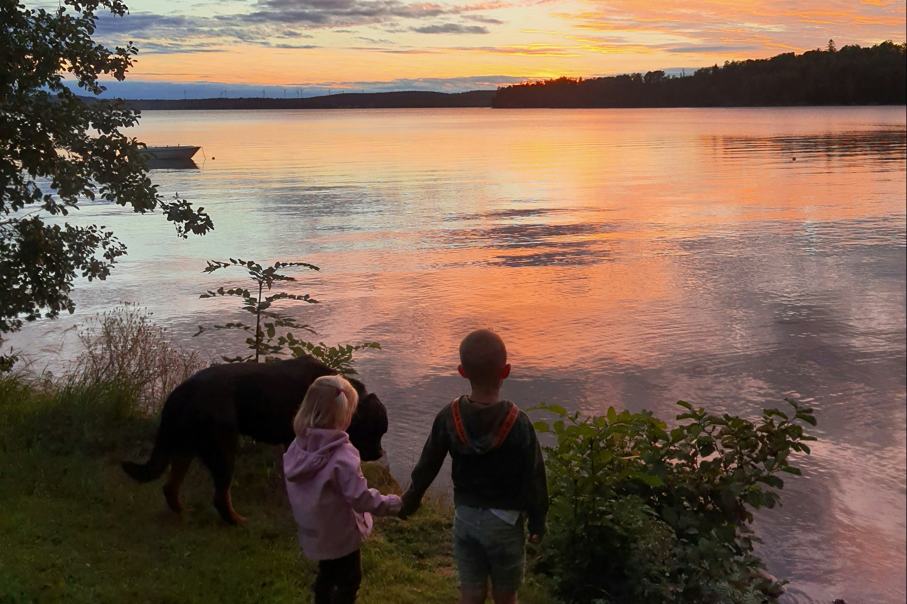 Camping Sandaholm - Kinder und Hund blicken auf den See bei Sonnenuntergang