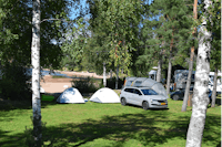 Camping Sandaholm - Stell- und Zeltplatzwiese auf dem Campingplatz