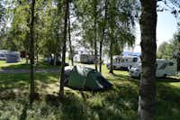 Camping Sandaholm - Zelt- und Stellplatzwiese auf dem Campingplatz