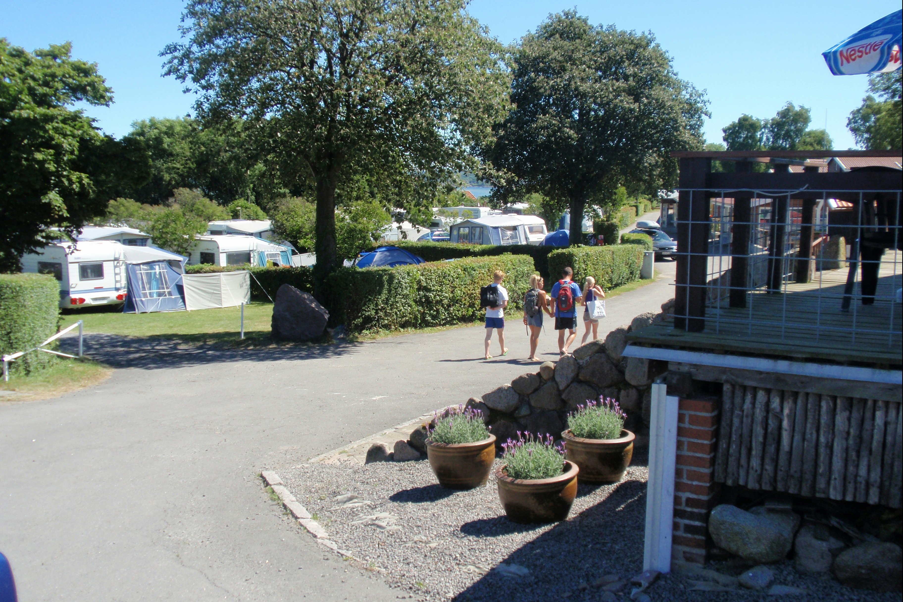 Camping Sandkås - Blick auf die Stellplätze auf dem Campingplatz