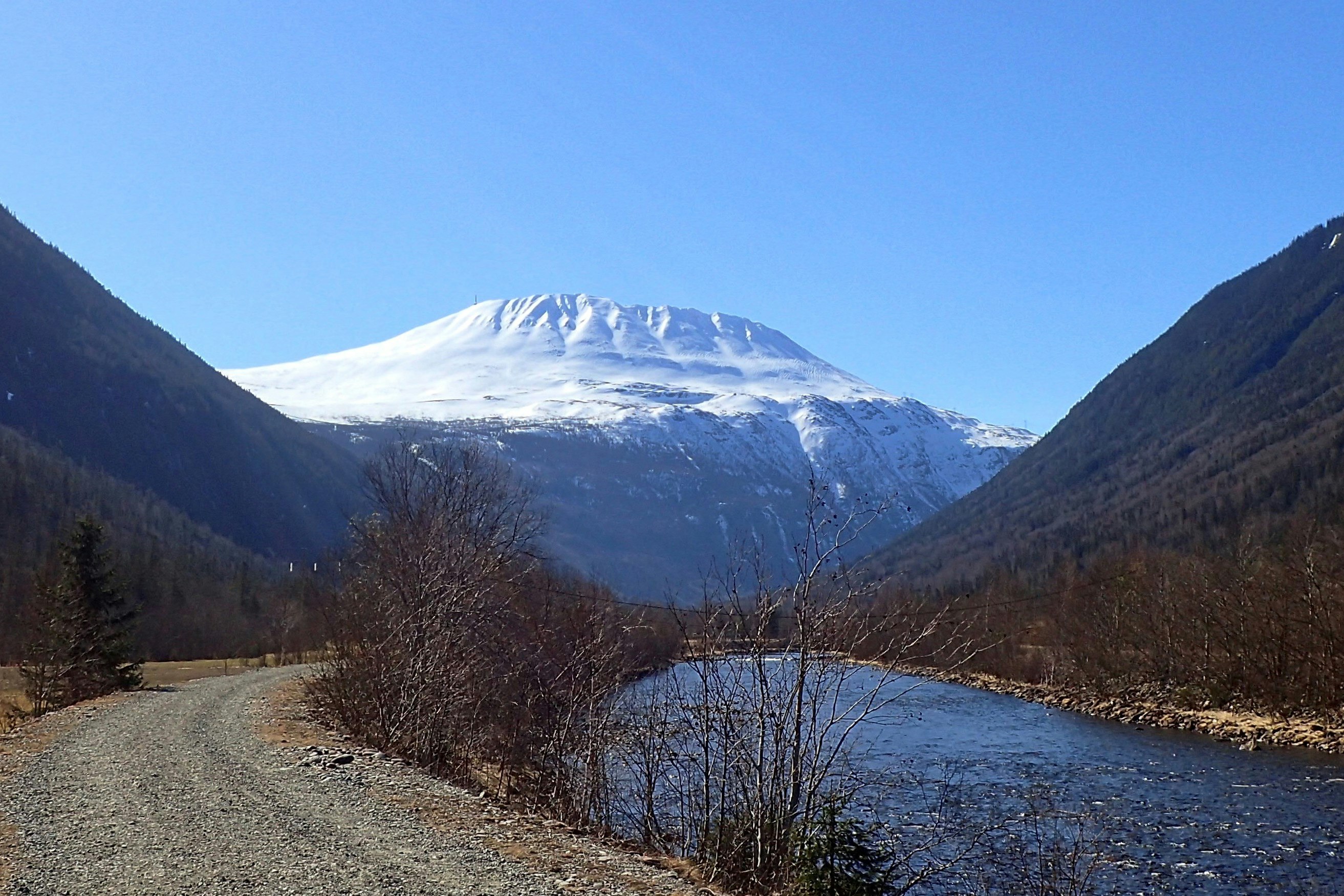 Blick ins Alpen-Tal mit schneebedecktem Berg zwischen bewaldeten Hängen und blauem Himmel.