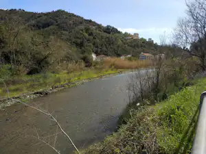Fluss im Tal mit bewaldeten Hügeln und Häusern am Hang, umgeben von Bäumen und Gras am Ufer.