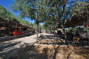 Schattiger Campingweg mit Zelten, Tischen und Stühlen unter hohen Bäumen, seitlich überdachte Bereiche und Wege im Hintergrund.