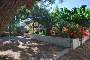 Campinggarten mit Blumenbeeten, Palmen und Bäumen, Steinmauer und Stufen zum Gebäude im Hintergrund.