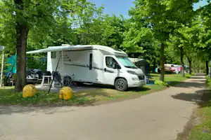 Wohnmobil mit Vorzelt auf einem Stellplatz am Weg, umgeben von Bäumen und Rasen, mit gelben Blumenkugeln im Vordergrund.